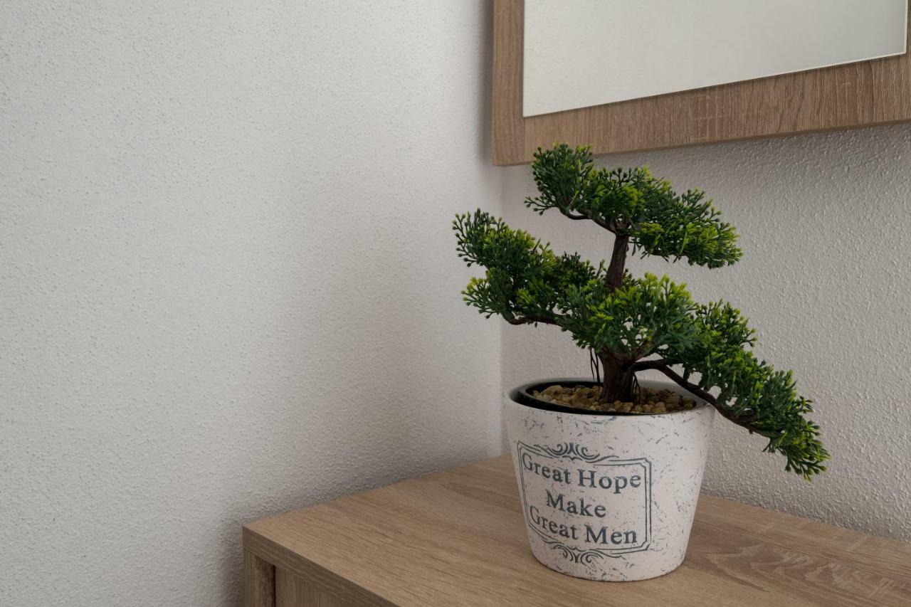 Apartments Lavanda ネウム エクステリア 写真